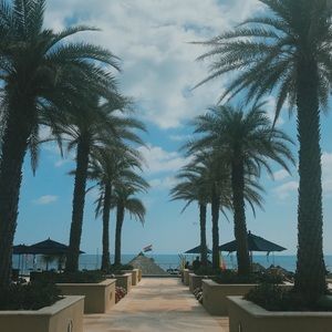 Meet your Posher, Peyton